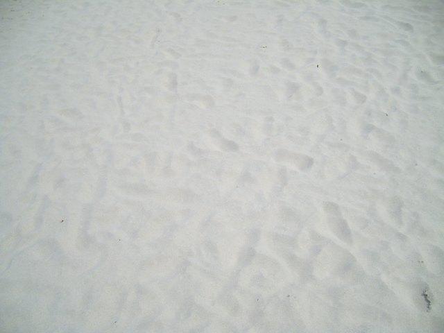 TT7002094.JPG