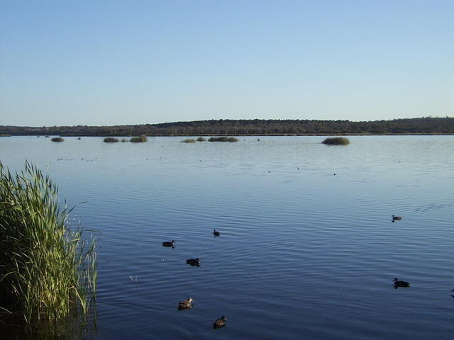 1025_0622a