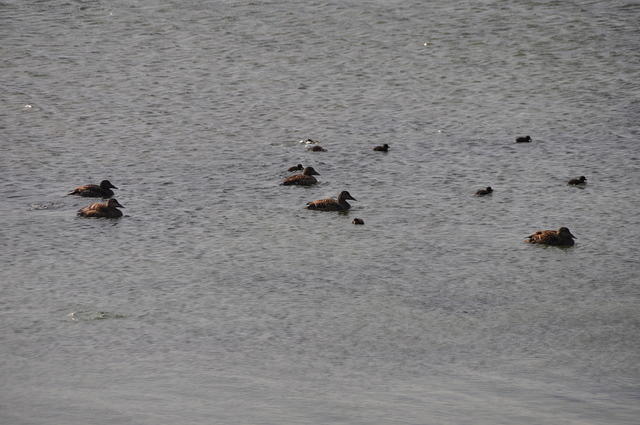 DSC_2874.JPG