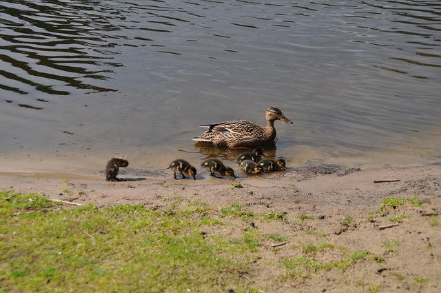 DSC_3045.JPG