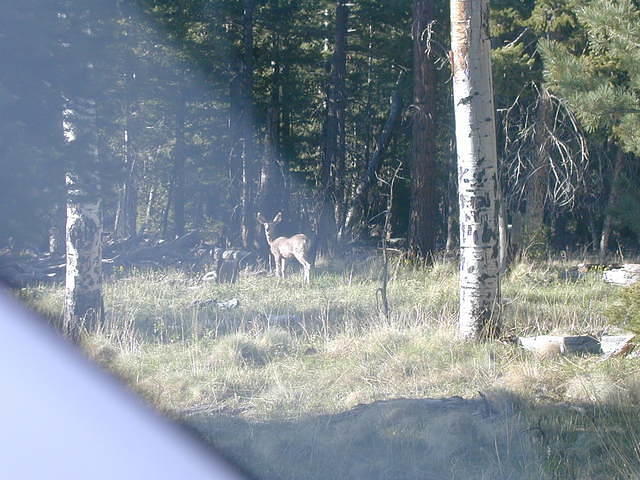 P5130038