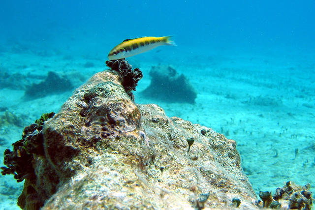Picture_2571_edited