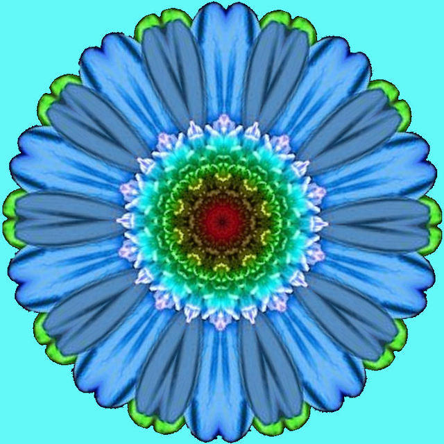 FANCY FLOWER 3