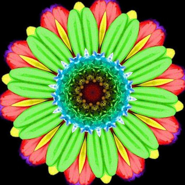 FANCY FLOWER 4