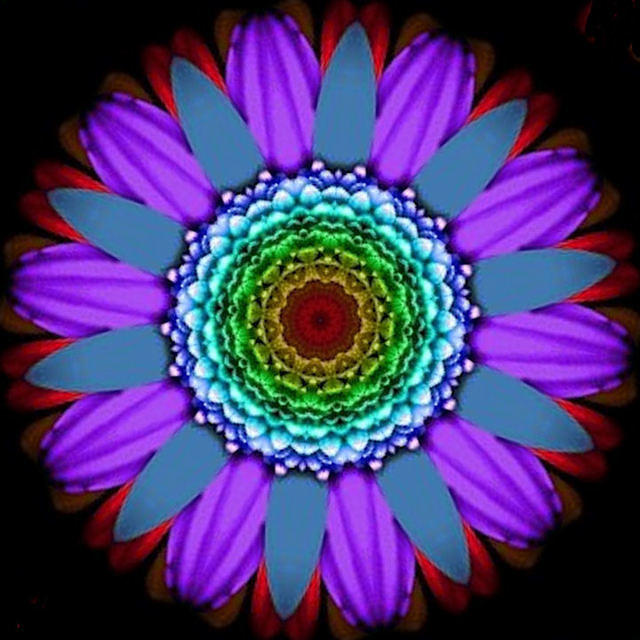 FANCY FLOWER 5