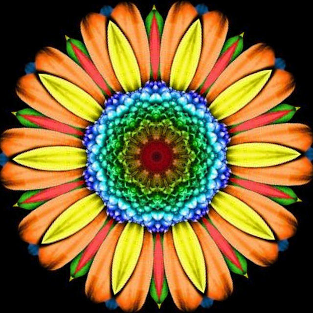 FANCY FLOWER1