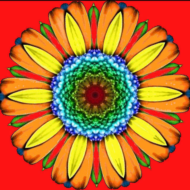 FANCY FLOWER2