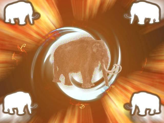 mammoth_whirlwind