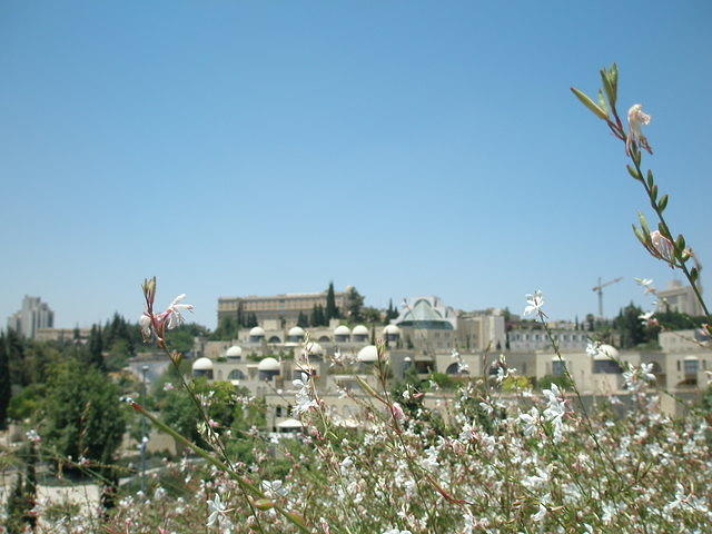 View-from-Ha-Emek-Jerusalem-6-18-08-2