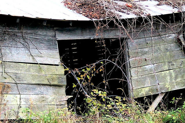 Broken Farm Shed