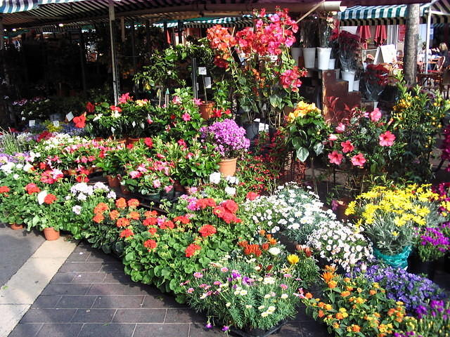 Flower Market