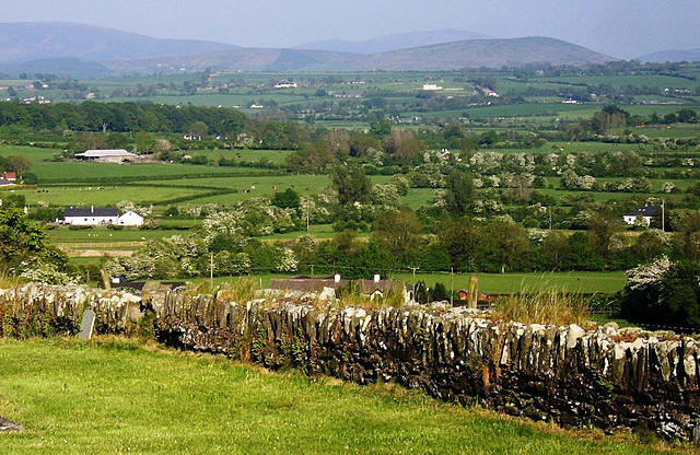 Old_Kilcullen_Looking_towards_DublinWicklowMountains