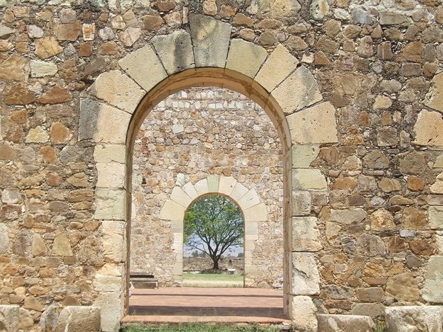 Tree through ruined doorways