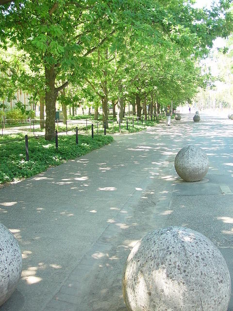 dsc00729