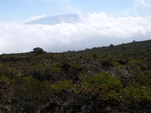 A view from Hualalai to Mauna Loa