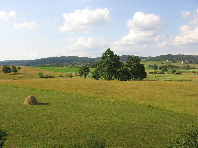 Field with haystack