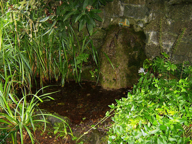 Kilcullen_TheValley_Park_ThePool_Below_StBrigids_Well