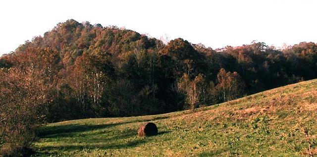 Lone Bale Standing