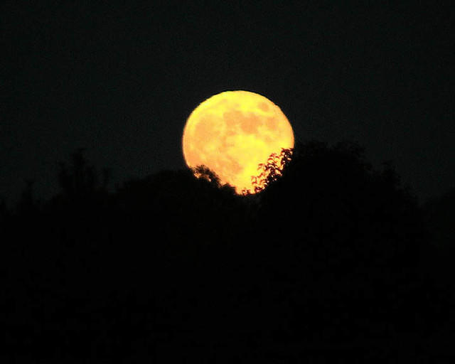 Harvest Moon 2