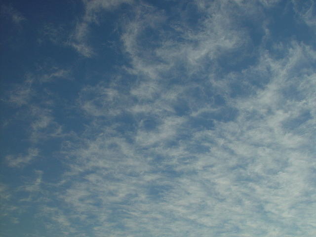 dsc20050117_060629_5
