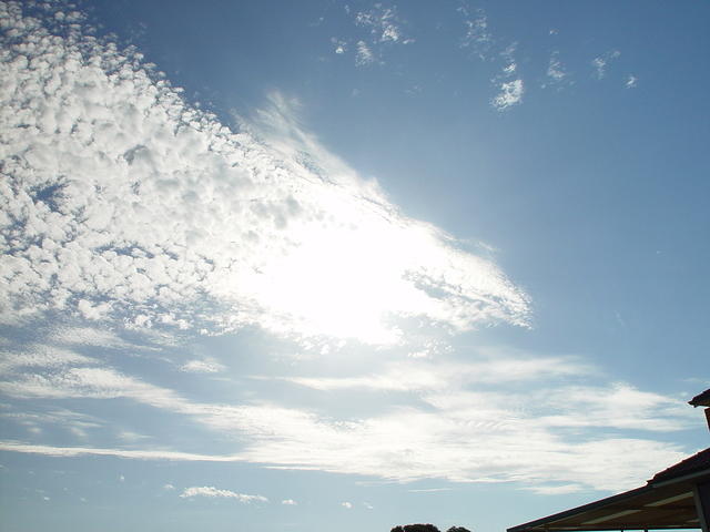 dsc20050214_170917_7