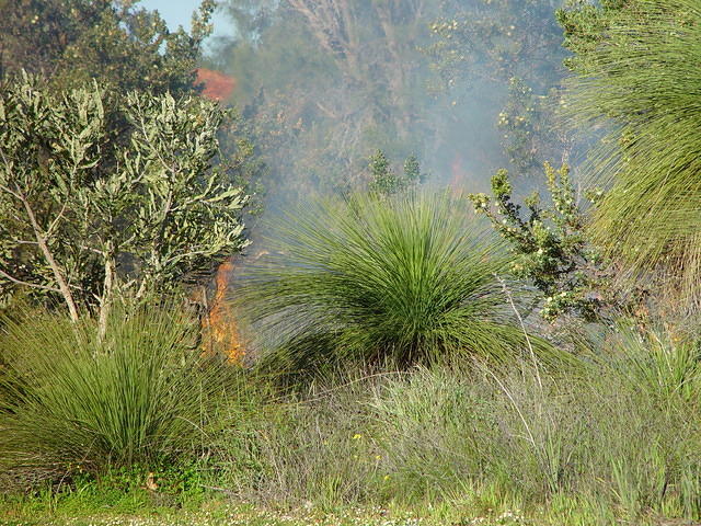 dsc05738