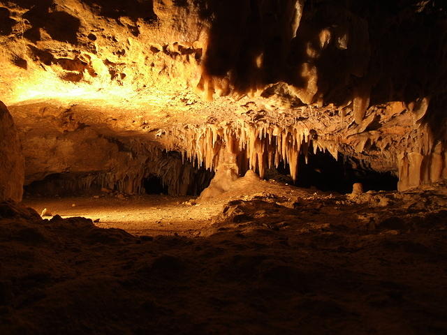 Limestone Formations in Cave (Naracoorte, South Australia)