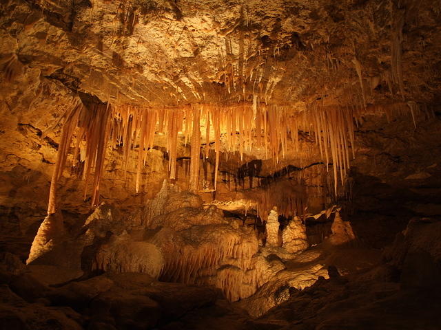 Limestone Formations in Cave (Naracoorte, South Australia)