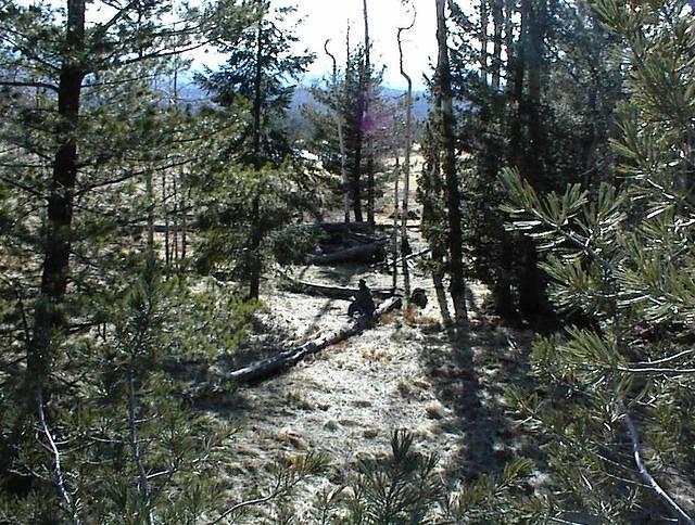 AZ snowbowl 011
