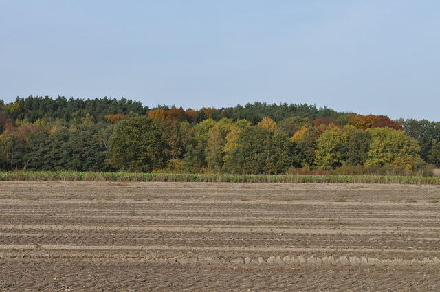 DSC_4140
