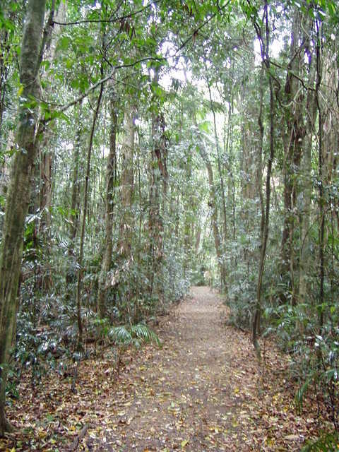 australia 009