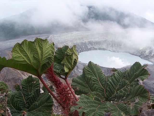 Poas Volcano, Caldera and Poor Man's Umbrella