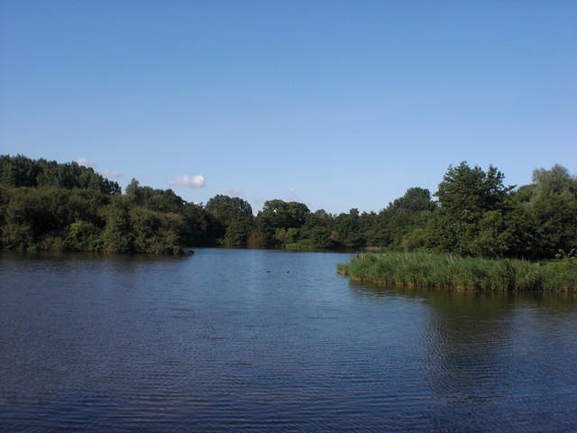 Small lake in Bergsebos near Bergschenhoek, Netherlands