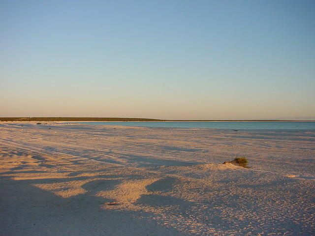 dsc00036