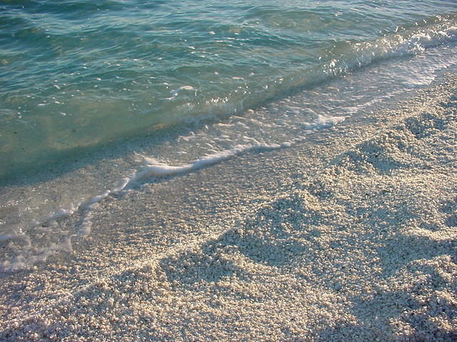dsc00038