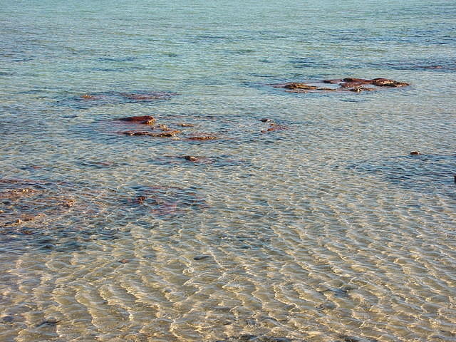 dsc00043_001