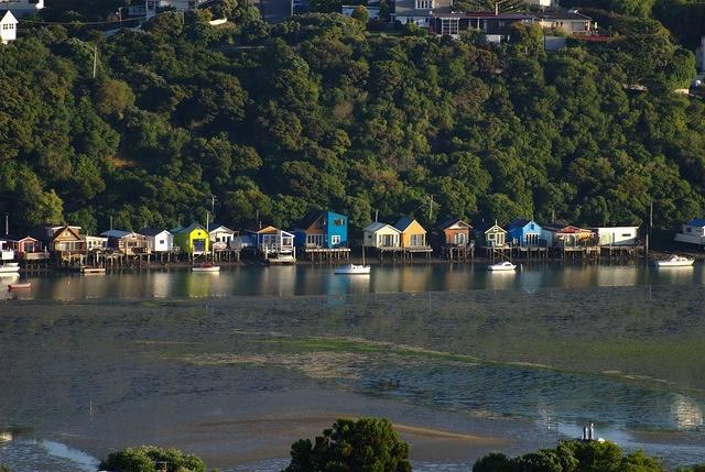 Boat sheds in early morning light