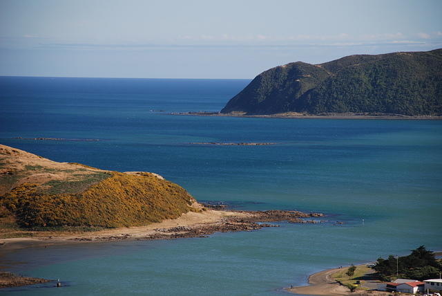 Two headlands at Porirua harbour entrance