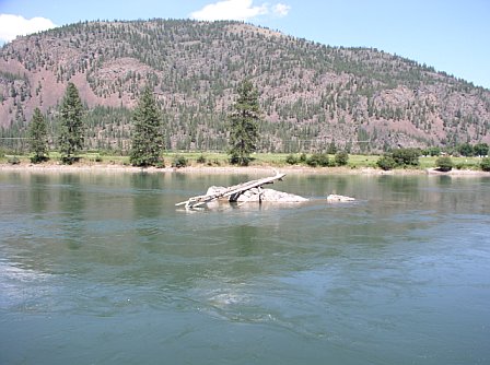 clark fork at paradise
