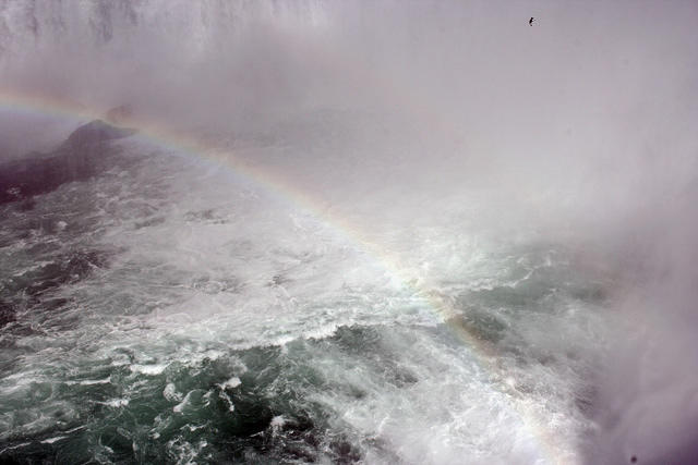 Niagara rainbow