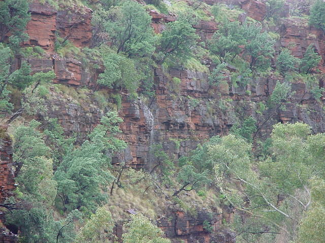 dsc00013