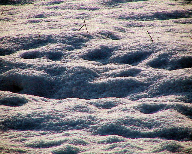 Snow Pattern