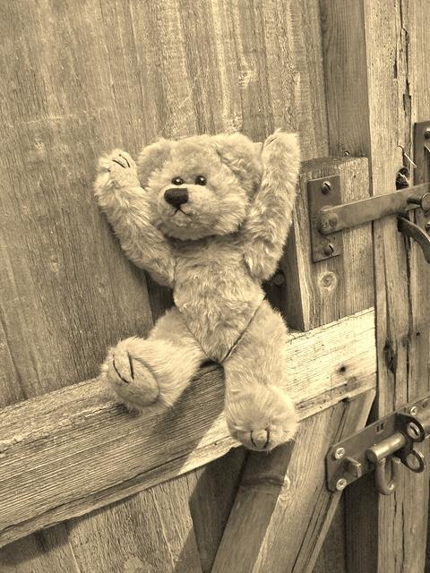 teddy (stuffed) bear) on an old wooden gate