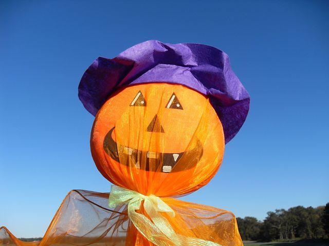 Yard Ornament - Funny pumkin face