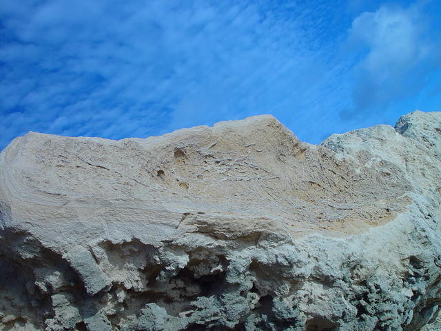 dsc00479
