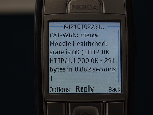 SMS spam from a server