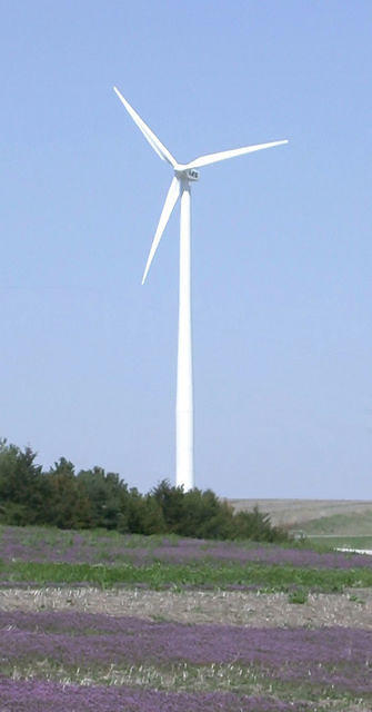 windmill1