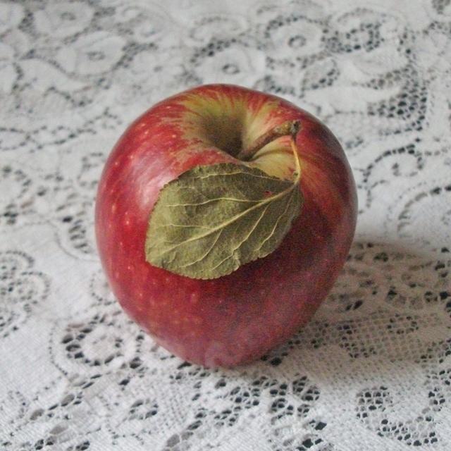 Red apple with leaf.