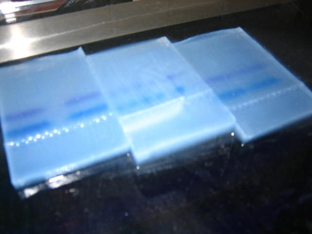 Gel electrophoresis