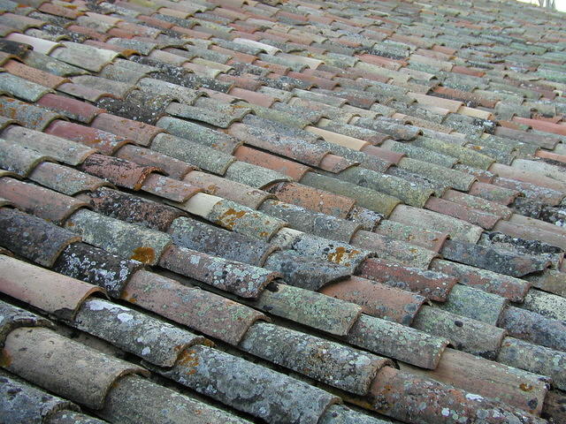 old_french_tile_roof